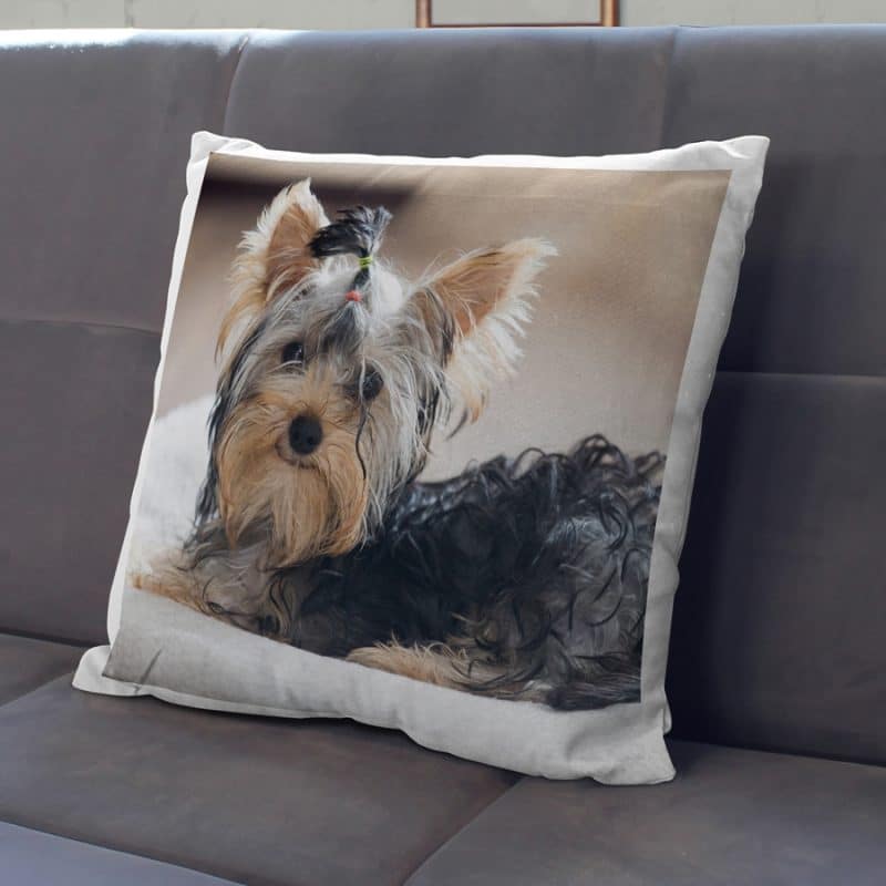 Cojín cuadrado 40 x 40 Impresión a 1 cara